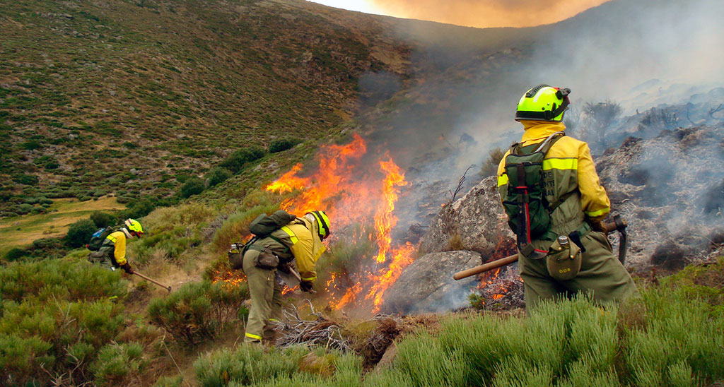 UGT reclama una estrategia integral de lucha contra los incendios forestales